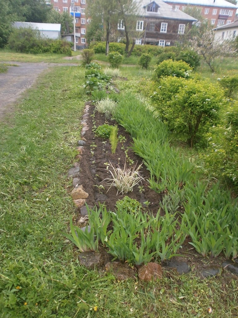 P5318361.JPG