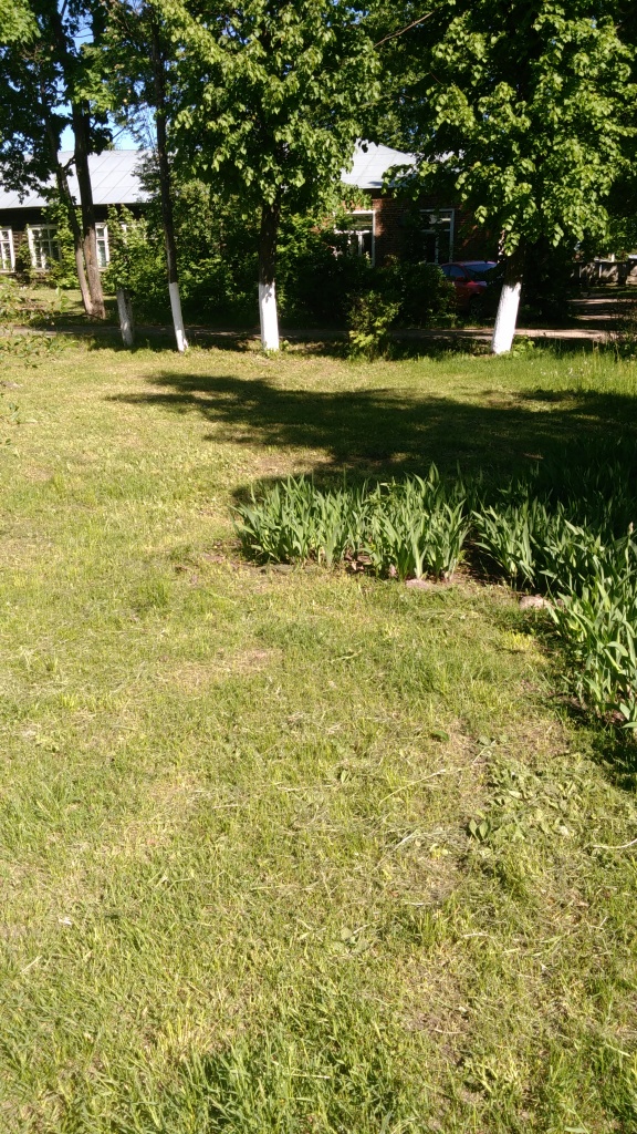 IMG_20180525_091839.jpg
