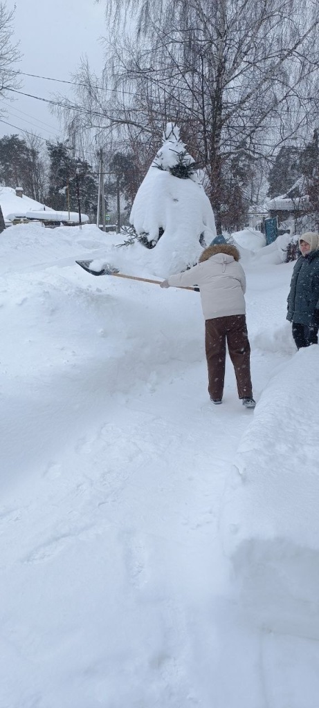 IMG_20260202_093525_377.jpg IMG_20260202_093525_377.jpg