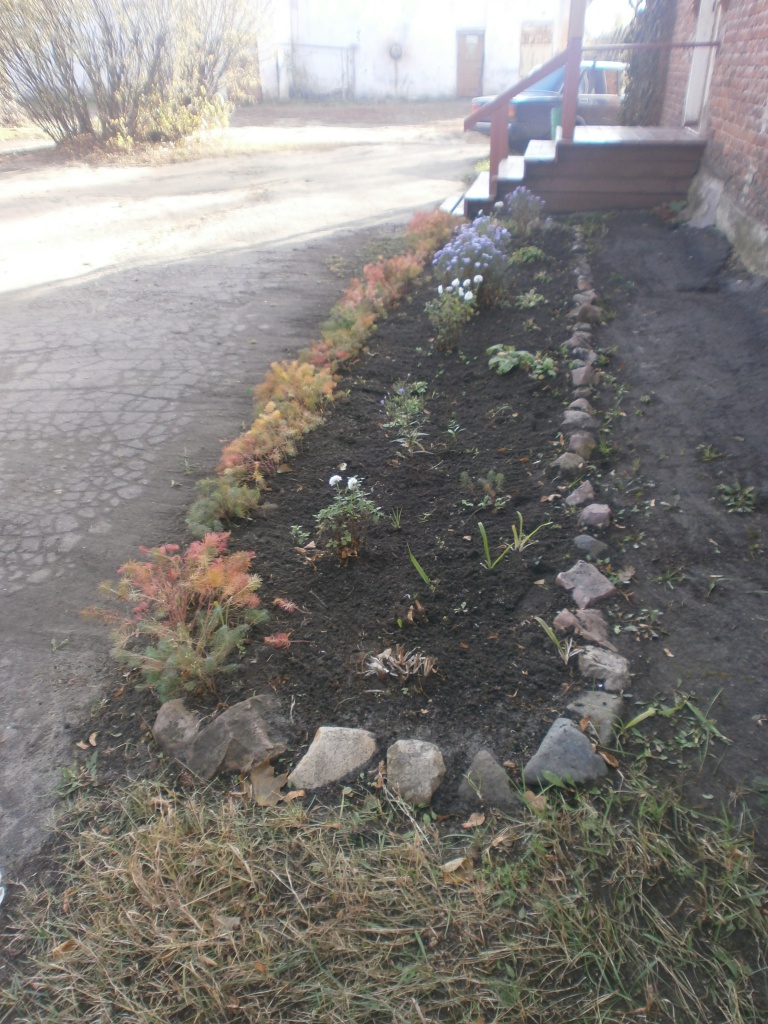 PA164372.JPG