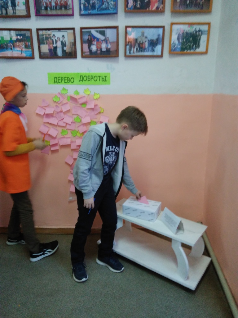 IMG_20181113_095224.jpg