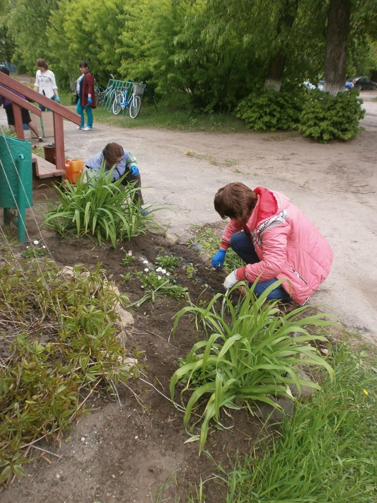 P5318358.JPG