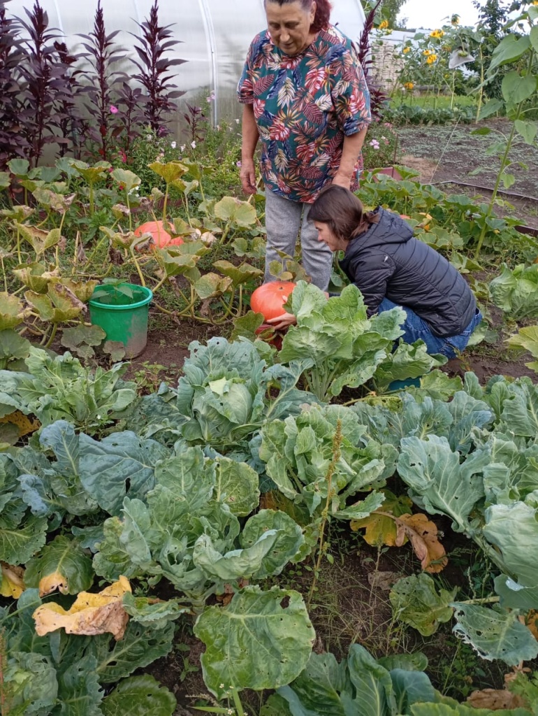 IMG-20250908-WA0006.jpg IMG-20250908-WA0006.jpg