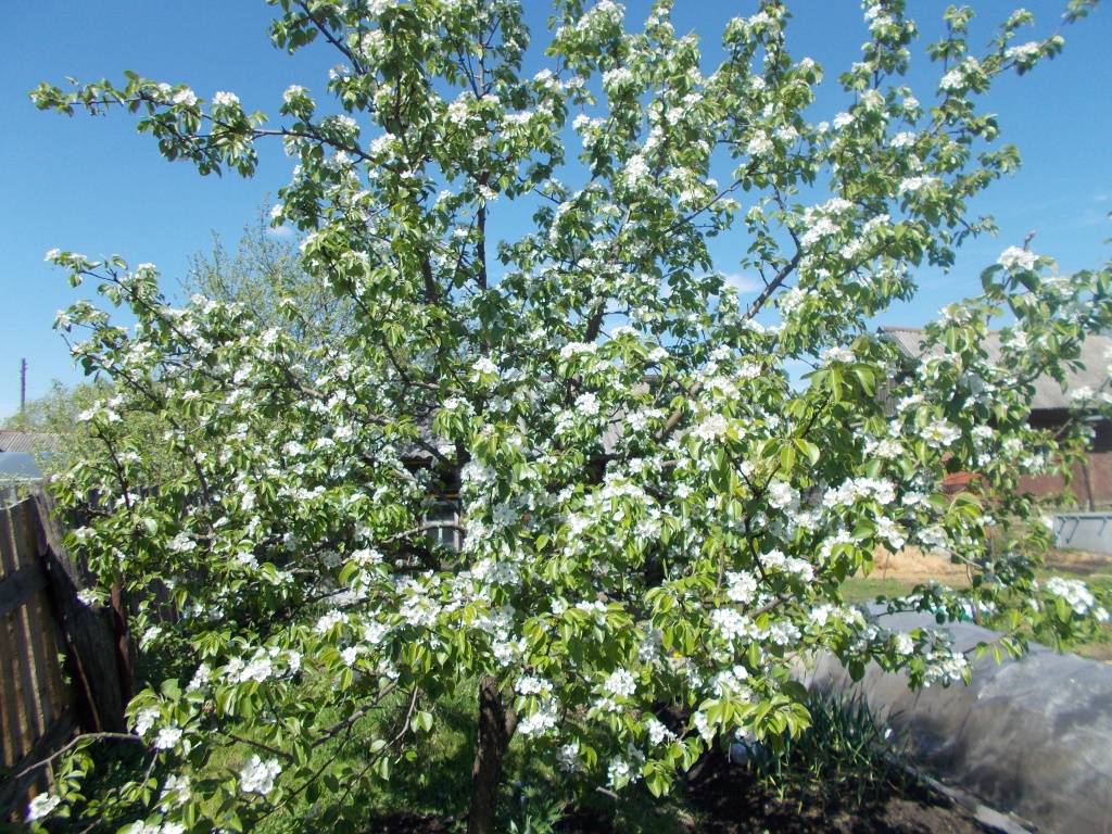DSCN2124.JPG