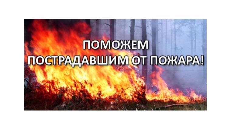 948753e2f6e217643cd1fcfa71e96fbb_pojar.jpg