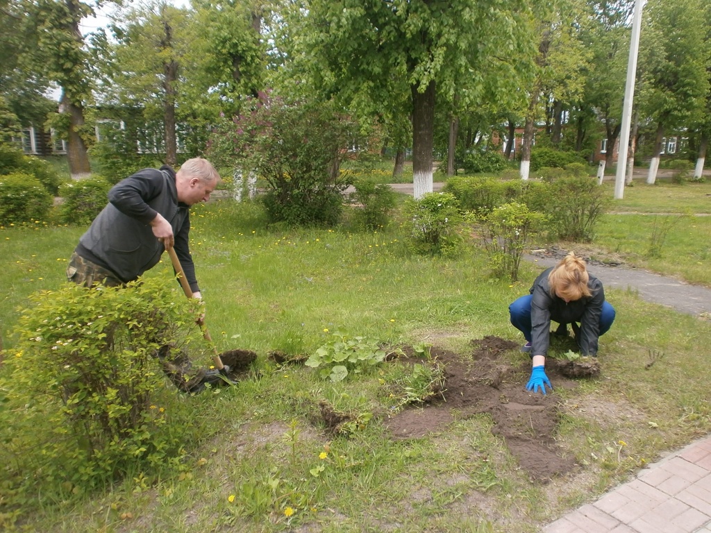 P5318353.JPG