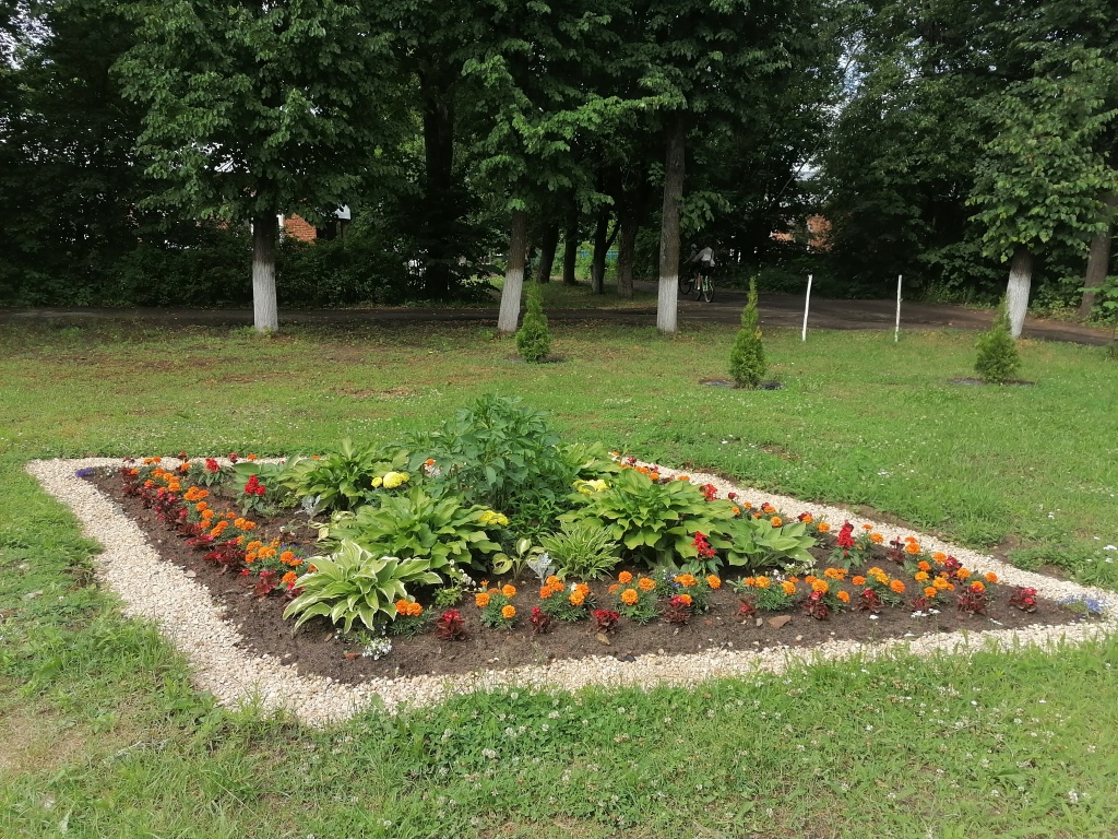 IMG_20260619_144432.jpg