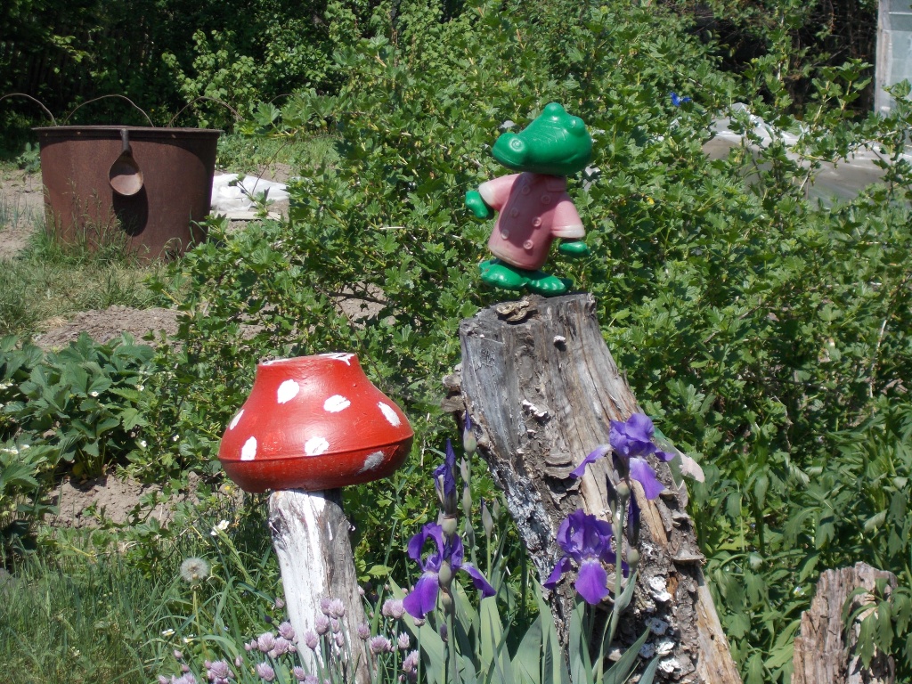 DSCN2417.JPG