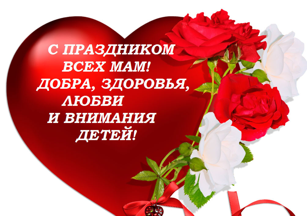 image_5bfa91c793db9.jpg