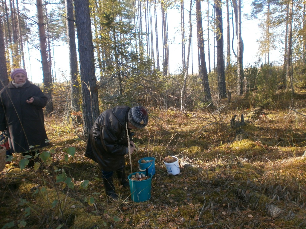 PA048983.JPG